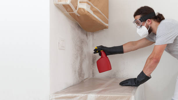 Professional Black Mold Remediation technician working in Jacksonville, NC