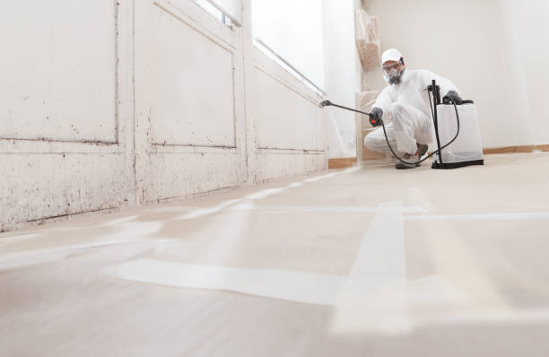 24/7 Emergency Black Mold Remediation experts in Jacksonville, NC