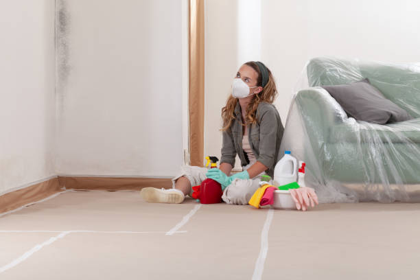 Reliable Black Mold Remediation contractor in Jacksonville, NC by Car Mold Remediation